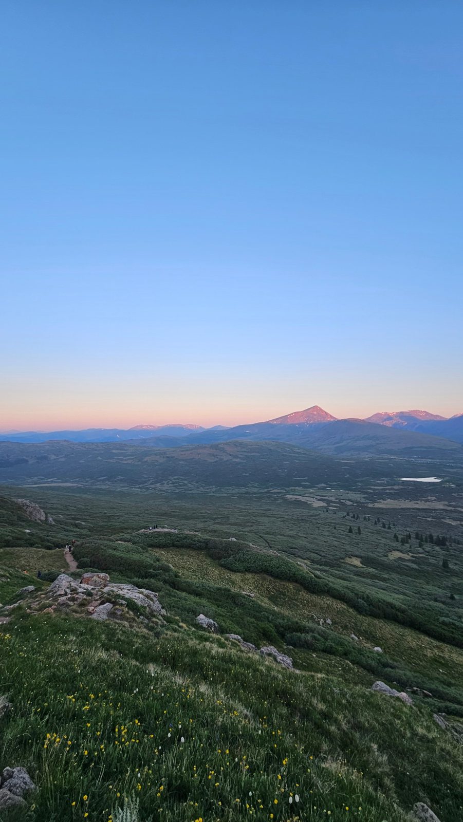Alpine meadow at dawn with a pink lit mountain peak on the horizon